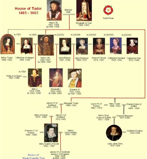 henry vii of england family tree.